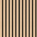 (Kleurmonster) Lattenwand M Eiken Zwart 2,65 m (122 x 12 mm)