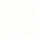 (Kleurmonster) Florence Binnenplafond 250 x 10 mm Bianco